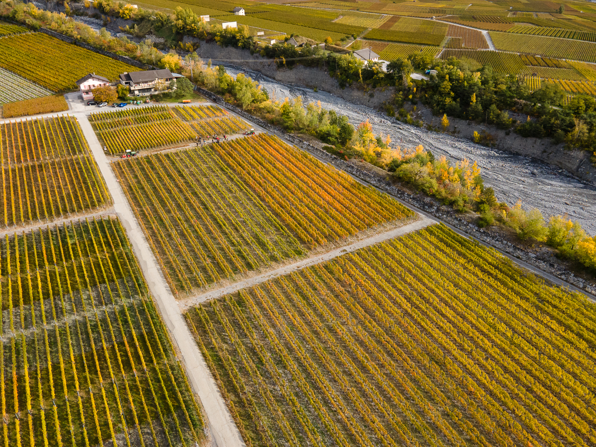 domaine état du valais